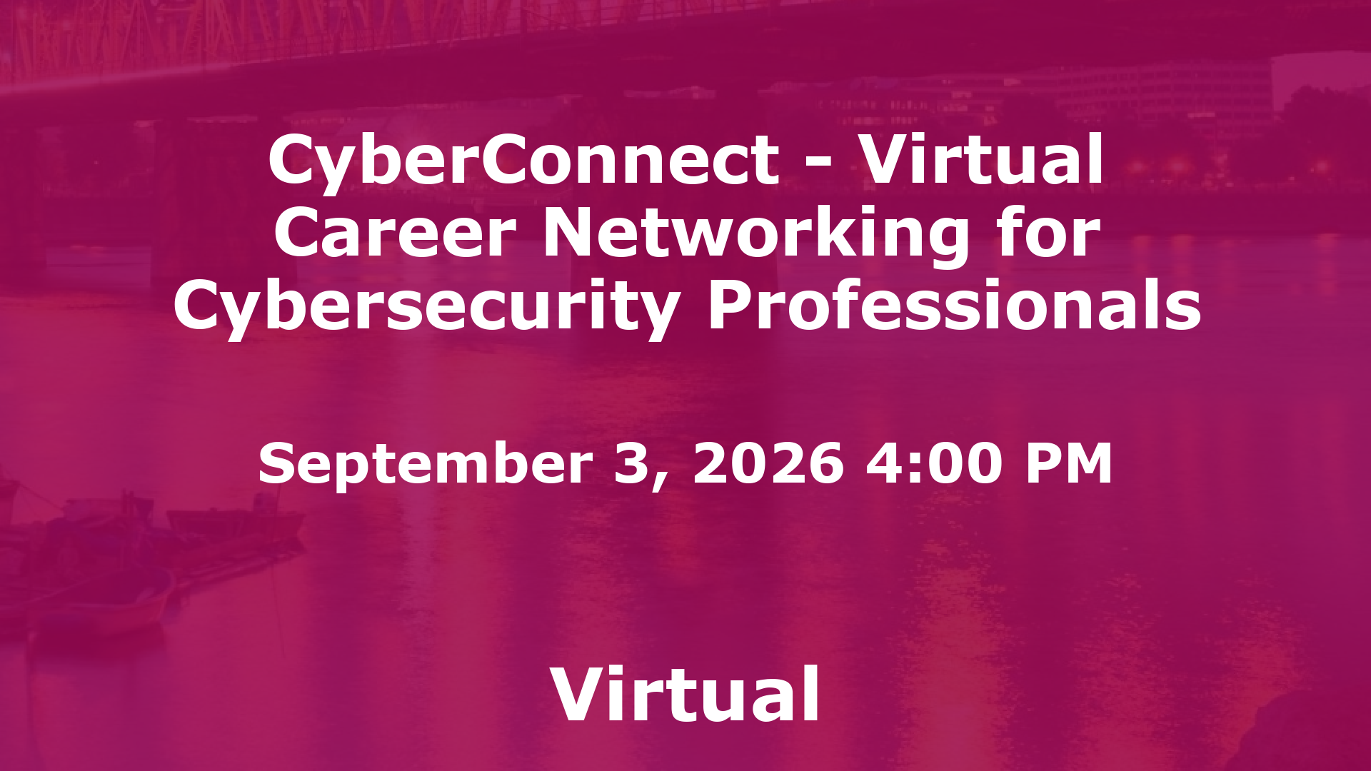 CyberConnect - Virtual Career Networking for Cybersecurity Professionals event image